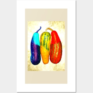 Ornamental Gourd Posters and Art